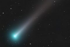 comet-leonard-christmas-might-lion-001-Copy