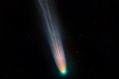 comet-leonard-christmas-might-lion-002