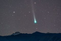 comet-leonard-christmas-might-lion-005