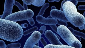 superbug antibiotic resistant bacteria sign
